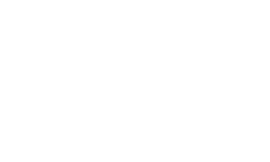 Logo Vallet Branca